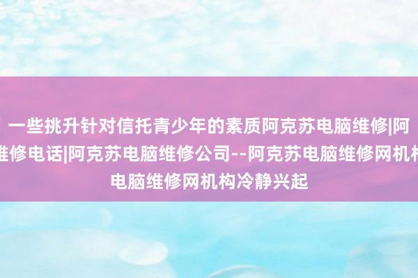 一些挑升针对信托青少年的素质阿克苏电脑维修|阿克苏电脑维修电话|阿克苏电脑维修公司--阿克苏电脑维修网机构冷静兴起